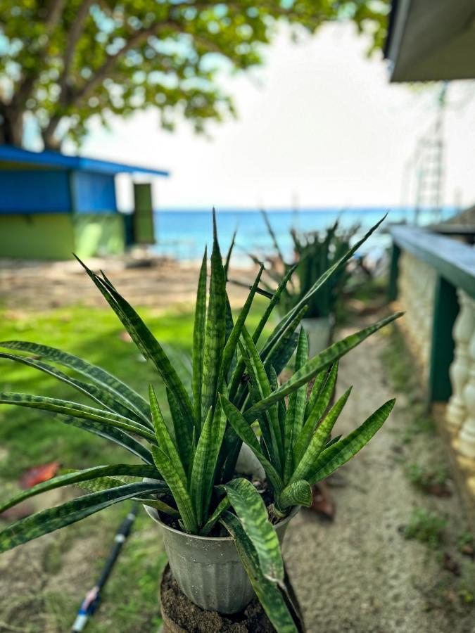 1Peace Beach Resort Анда Екстер'єр фото